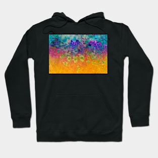 Flower Art Blue And Orange Hoodie